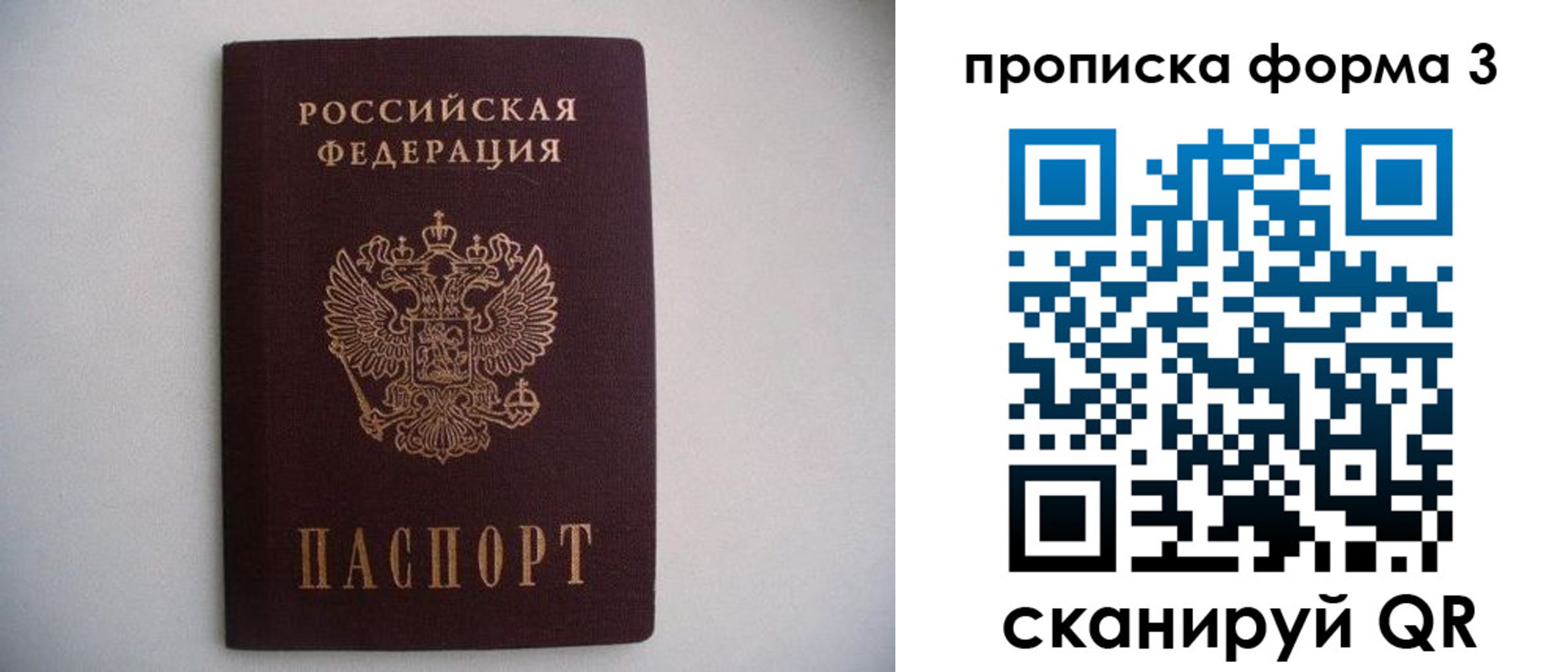 прописка в Сельцо